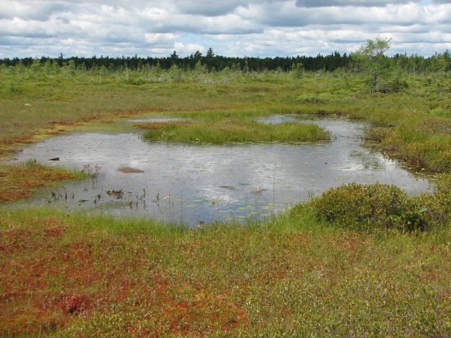 Amherst, Nova Scotia. Mile&nbsp;2619