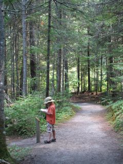 Levis, south of Quebec City. Mile&nbsp;1298