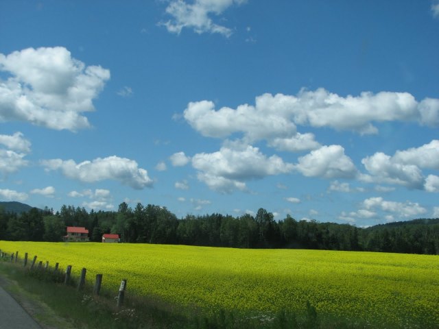 Ausable Point State Park, NY Mile&nbsp;839