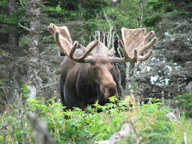 Corney Brook day 2- Happy Birthday&nbsp;Helen!