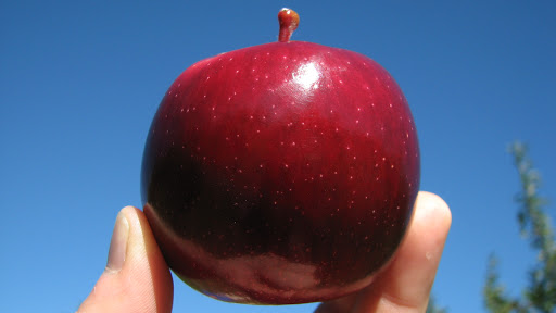 How do you like them&nbsp;apples…?