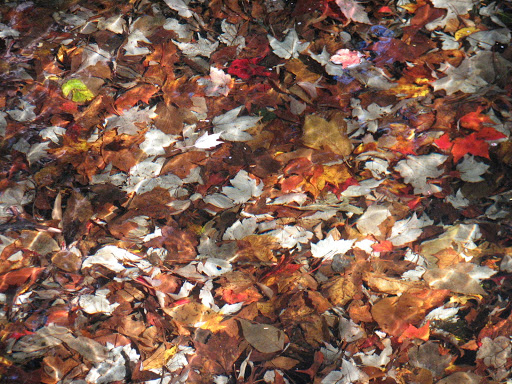 Our last day in&nbsp;Harv…?