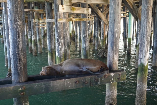 A day in Santa&nbsp;Cruz