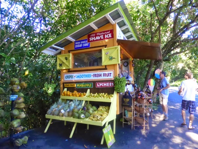 The Road to Hana (from&nbsp;Hana)