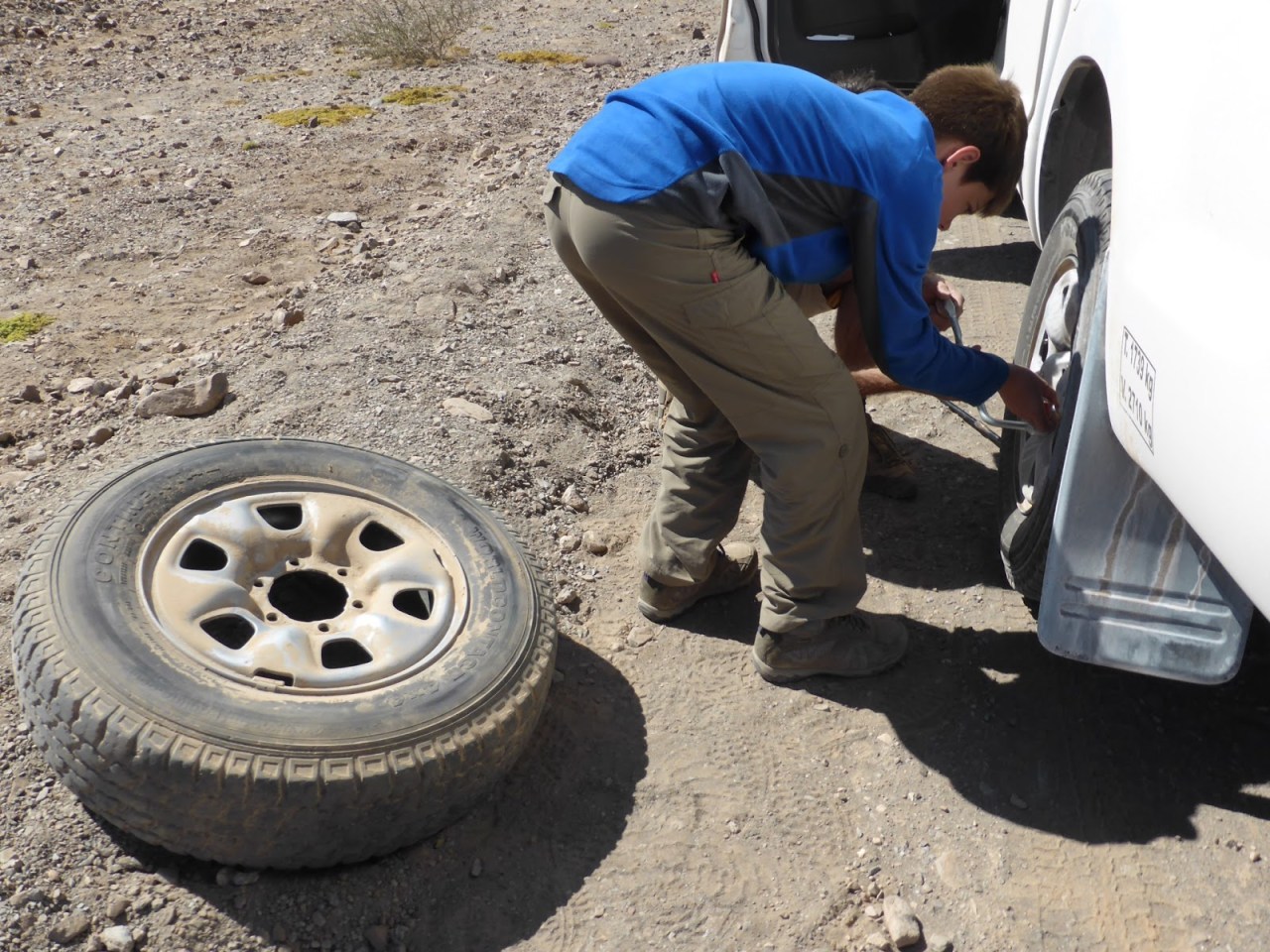 Portraits and punctures