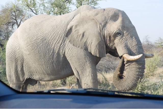 East through Etosha