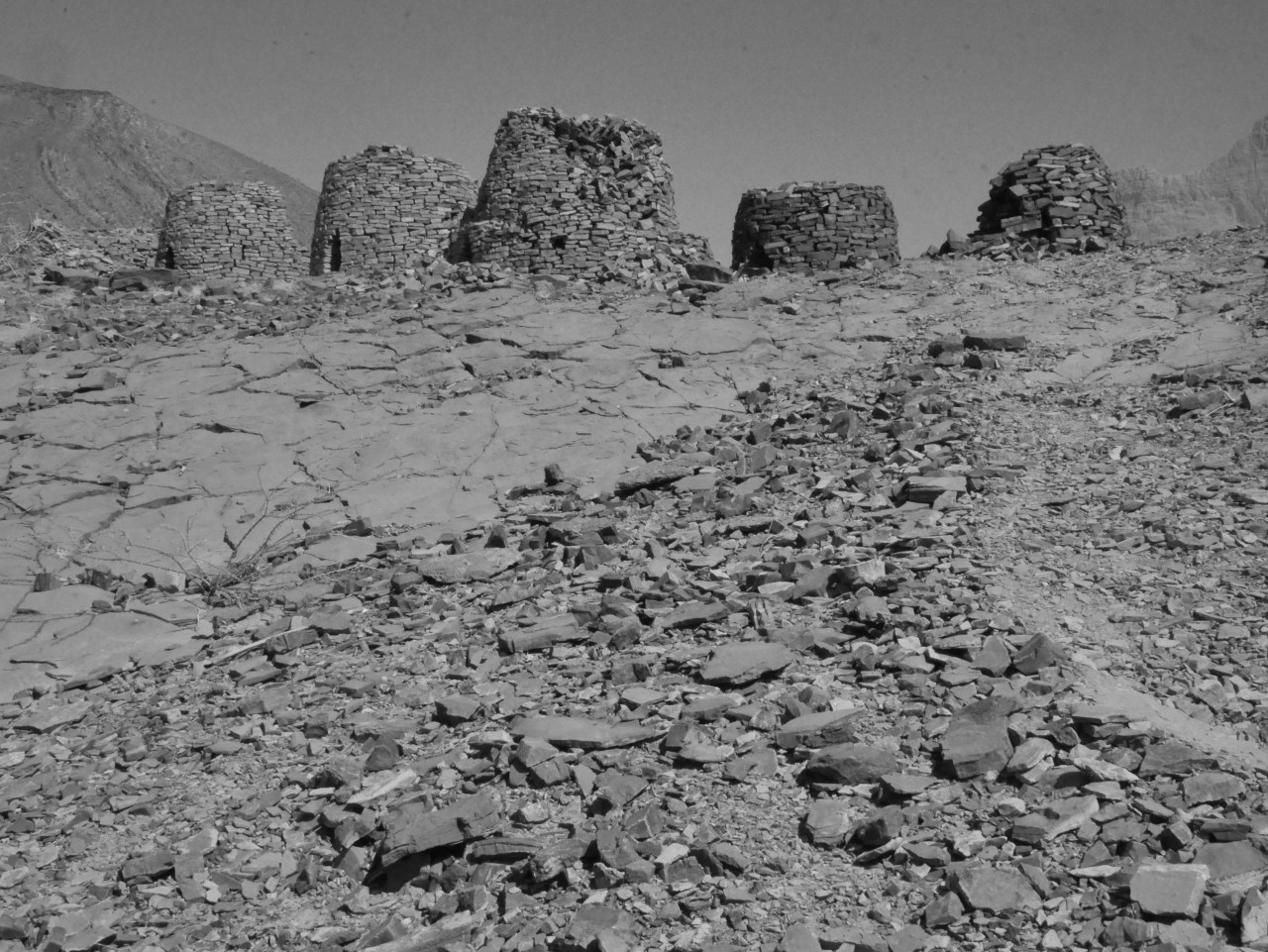 Back to civilisation