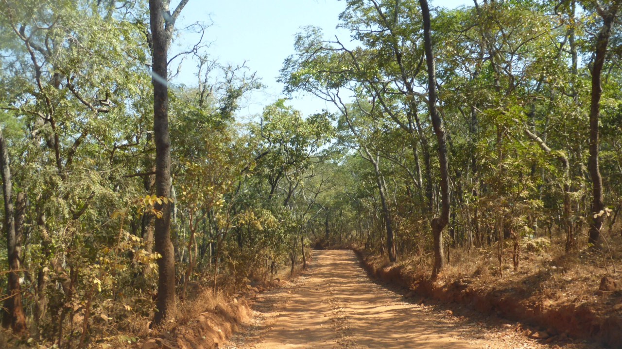 Monks, misdirection and a Manor&nbsp;House