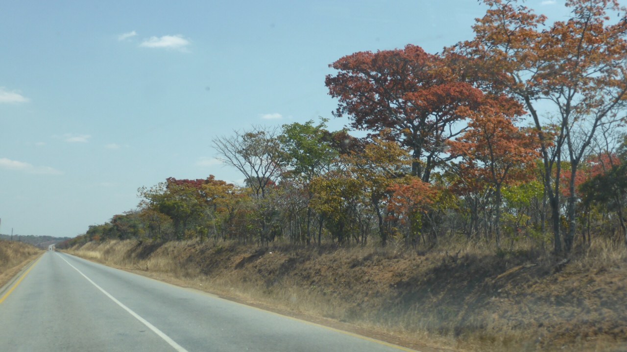 The Great North&nbsp;Road