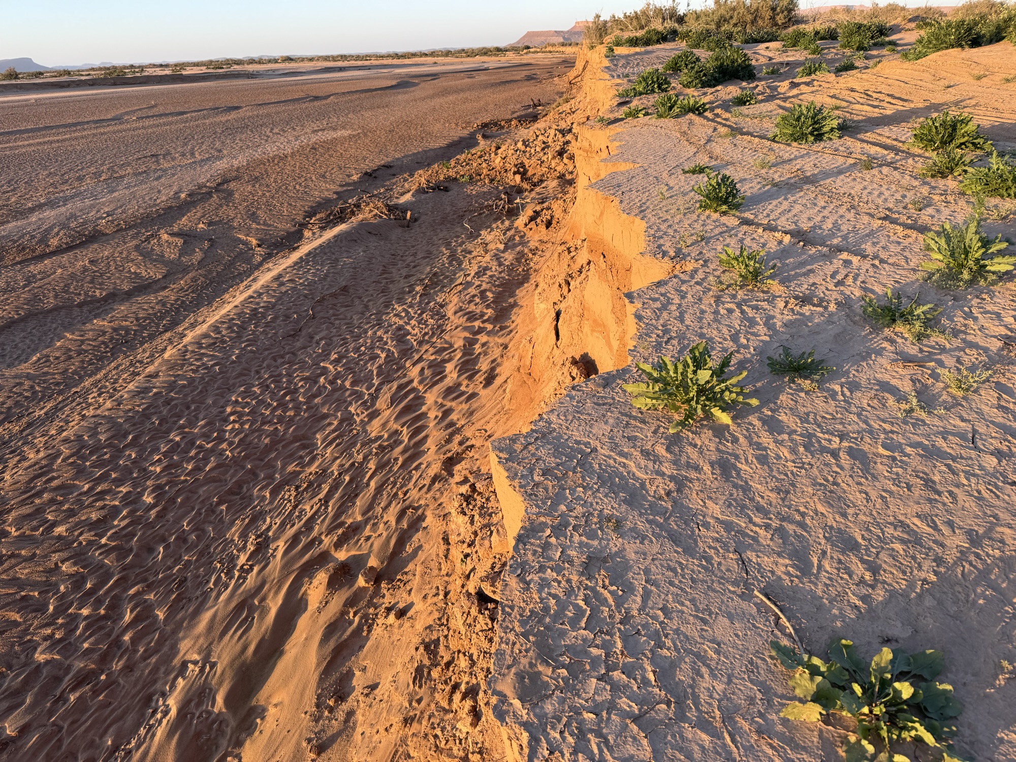 Sahara – Part 2 – The Magic Bus